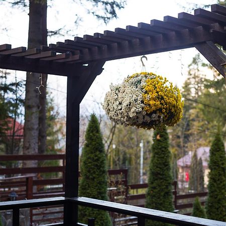 Impala Sinaia - Kudu Apartment ภายนอก รูปภาพ